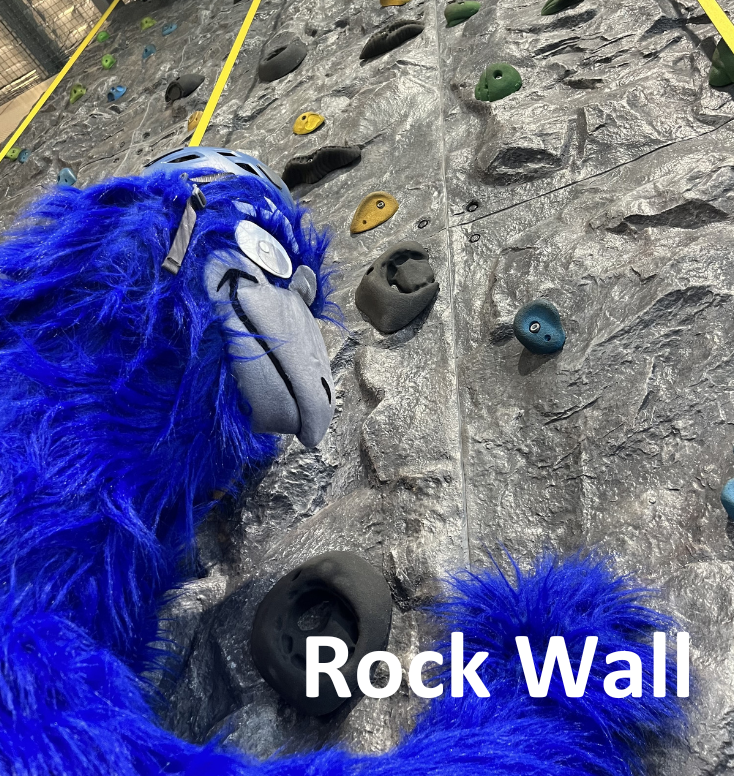 Rock wall 1.png